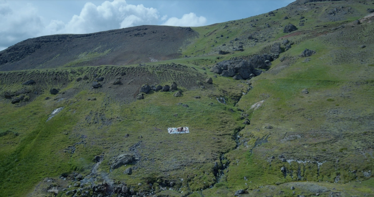 Kunstenaarsgesprek & filmpremière SANDWI(T)CH